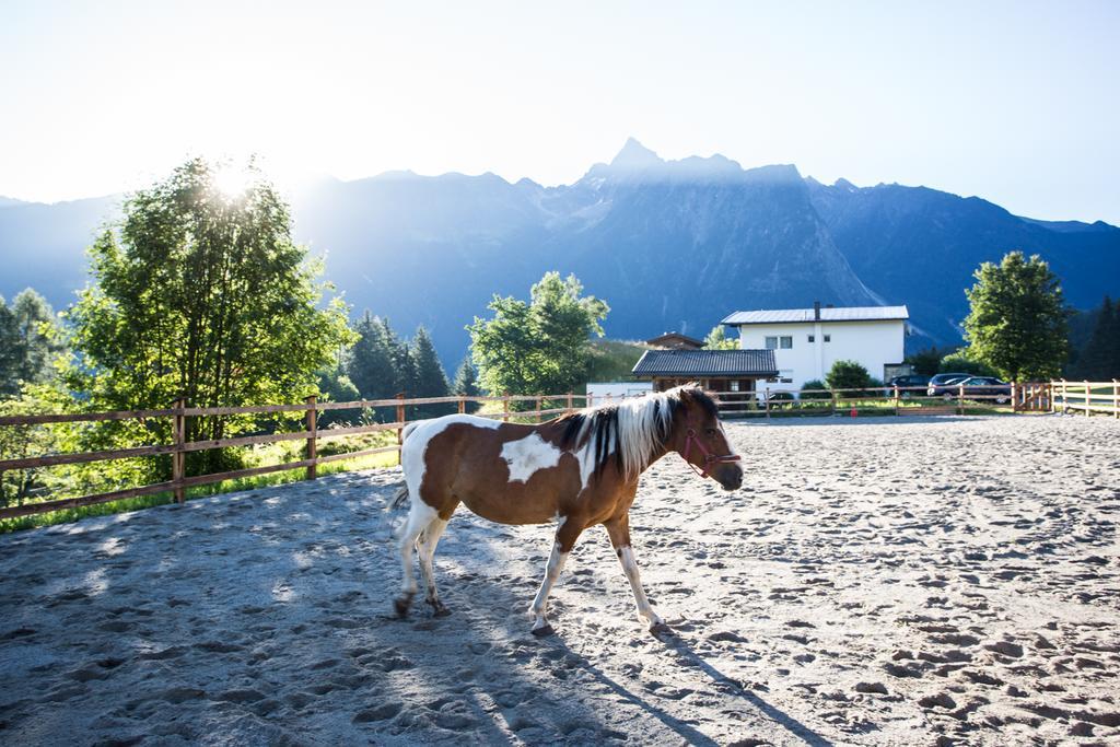 Ferienwohnungen Oetztal Заутенс Екстериор снимка