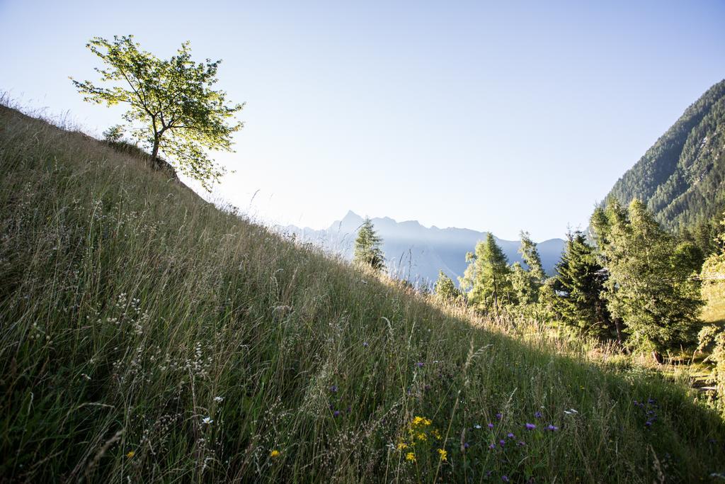 Ferienwohnungen Oetztal Заутенс Екстериор снимка